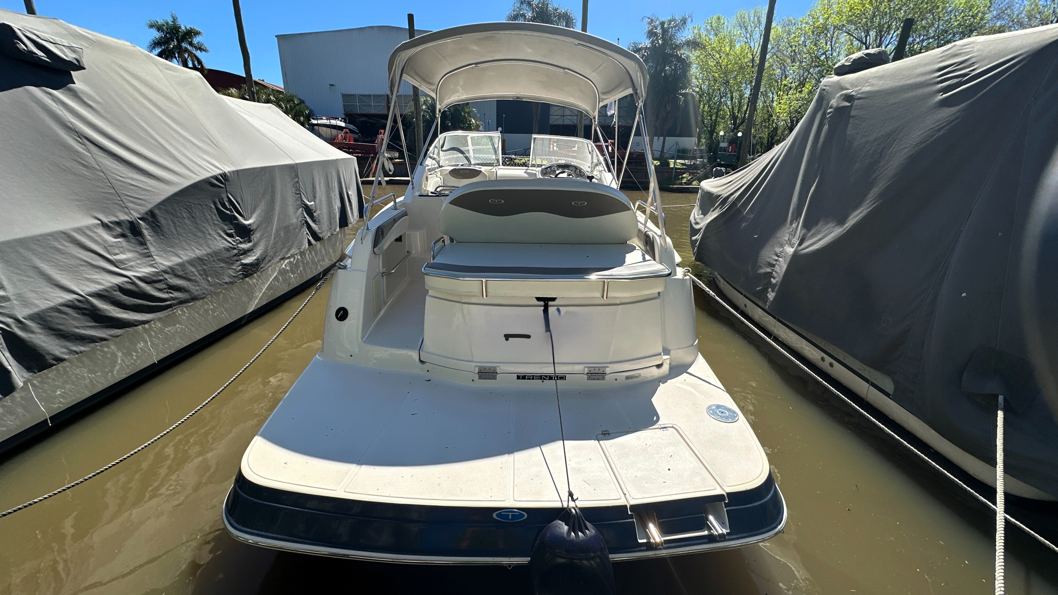 TRENTO 305 SUCCESS